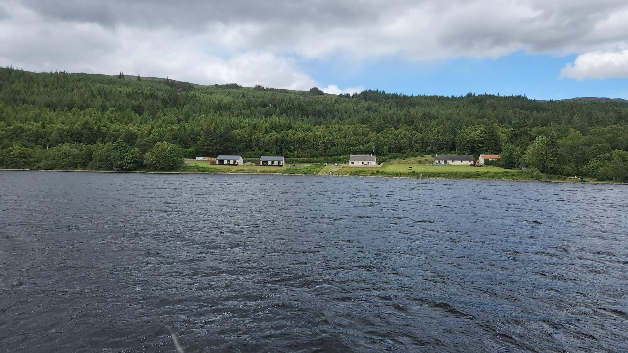 Rives boisées avec maisons isolées